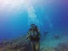 Hawaii Scuba divng 83