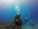 Hawaii Scuba divng 84