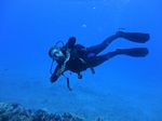 Hawaii Scuba divng 100