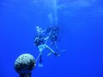 Hawaii Scuba divng 15