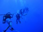 Hawaii Scuba divng 17