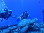 Hawaii Scuba divng 24