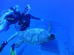 Hawaii Scuba divng 26