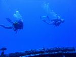 Hawaii Scuba divng 40