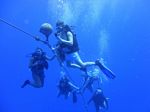 Hawaii Scuba divng 45