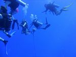 Hawaii Scuba divng 47