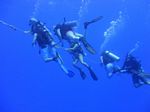 Hawaii Scuba divng 48