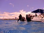 Hawaii Scuba divng 52