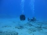 Hawaii Scuba divng 59