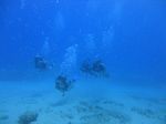 Hawaii Scuba divng 60