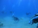 Hawaii Scuba divng 62