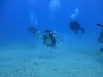 Hawaii Scuba divng 63