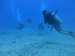 Hawaii Scuba divng 64