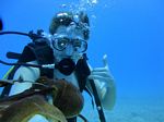 Hawaii Scuba divng 72