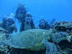 Hawaii Scuba divng 86