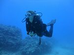 Hawaii Scuba divng 87