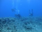 Hawaii Scuba divng 90