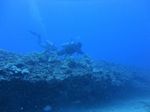 Hawaii Scuba divng 93