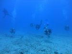 Hawaii Scuba divng 96