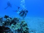 Hawaii Scuba divng 97