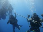 Hawaii Scuba divng 14