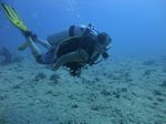 Hawaii Scuba divng 16