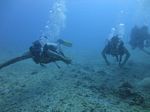 Hawaii Scuba divng 19