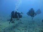 Hawaii Scuba divng 21