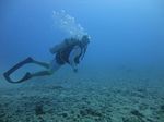 Hawaii Scuba divng 24