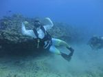 Hawaii Scuba divng 26