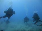 Hawaii Scuba divng 27