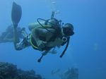 Hawaii Scuba divng 36