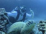 Hawaii Scuba divng 39