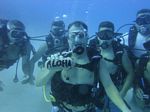 Hawaii Scuba divng 44