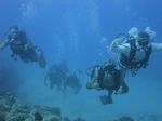 Hawaii Scuba divng 45