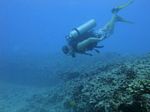 Hawaii Scuba divng 46