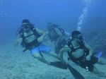 Hawaii Scuba divng 49