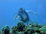 Hawaii Scuba divng 51