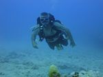 Hawaii Scuba divng 53