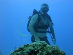 Hawaii Scuba divng 56