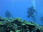 Hawaii Scuba divng 58