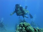 Hawaii Scuba divng 61