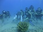 Hawaii Scuba divng 63