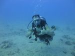 Hawaii Scuba divng 64