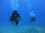 Hawaii Scuba divng 15