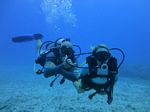 Hawaii Scuba divng 16