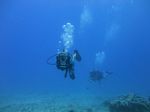 Hawaii Scuba divng 17