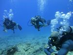 Hawaii Scuba divng 21