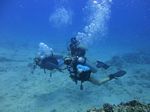 Hawaii Scuba divng 22