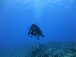 Hawaii Scuba divng 25